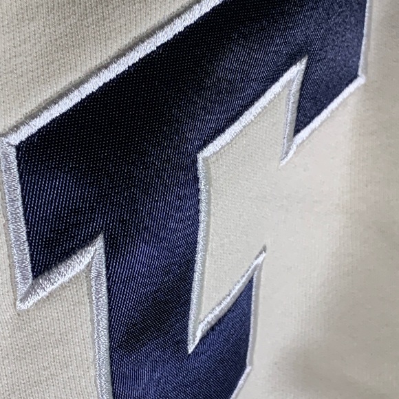 ❌SOLD❌ FTP appliqué arch logo hoodie - Picture 3 of 9